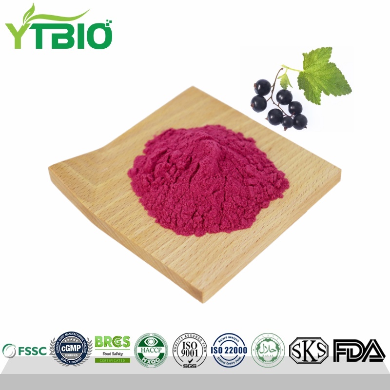 Spray-Dried Blackcurrant Powder