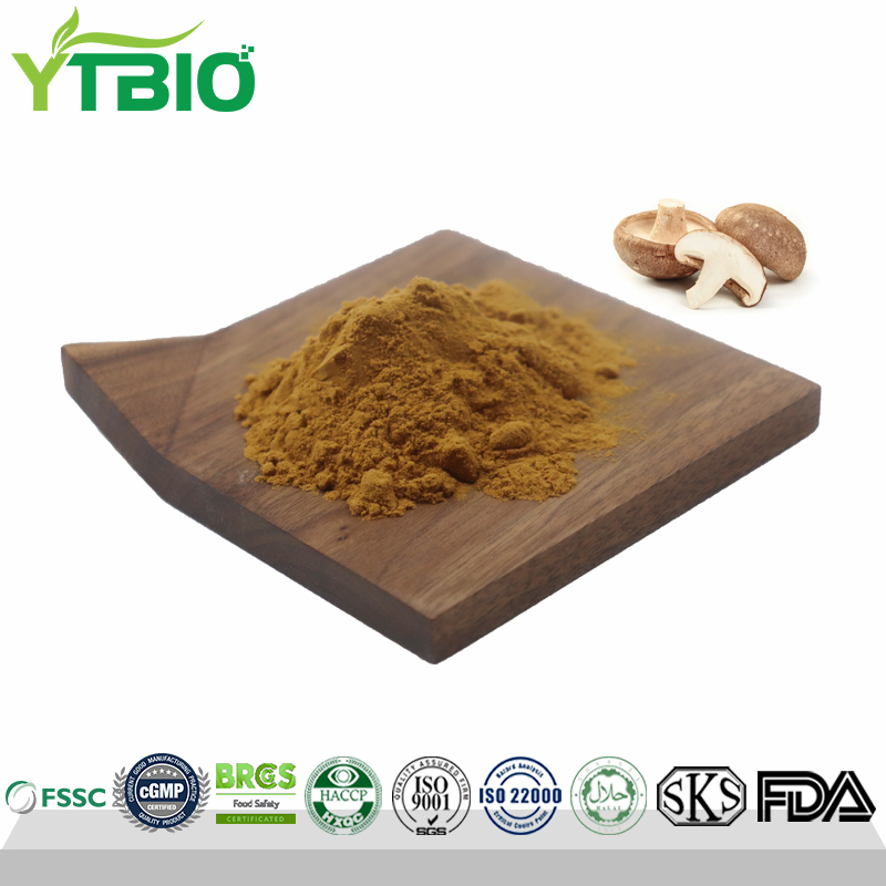 Purity Shiitake Mushroom Extract Powder