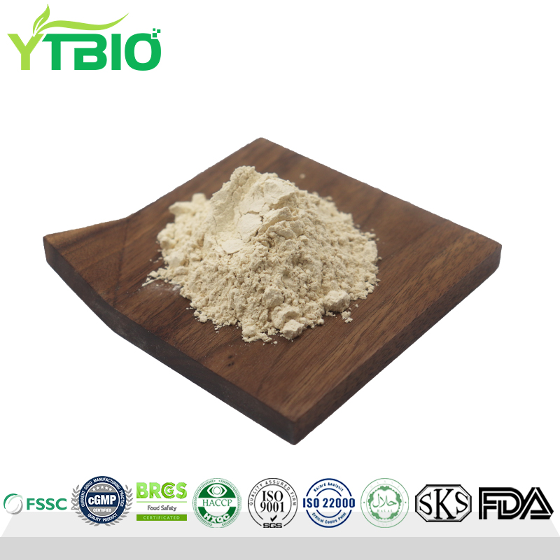Wholesale Pure Selenium-Enriched Yeast Powder