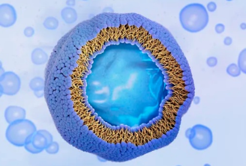 liposomes