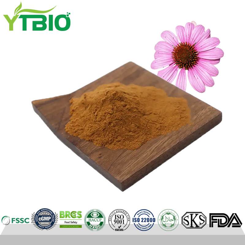 Echinacea-Extract.jpg