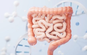 intestines