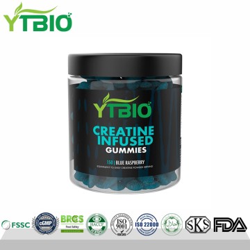 Creatine Monohydrate Gummies | Fitness & Muscle Support Supplements