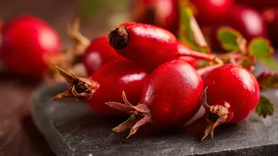 The Ultimate Guide to Sourcing High-Quality Rosehip Fruit Extract for Your Business