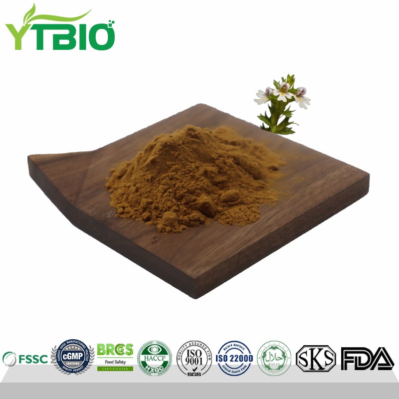 High Quality Eyebright Extract Powder 10:1 Manufacturer