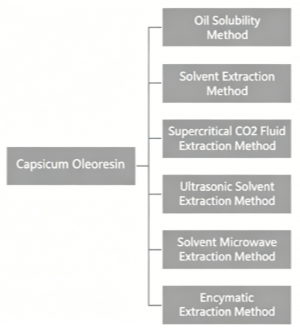 chili-oil-resin-production-process-copy