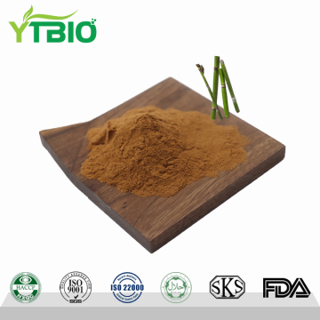 Factory Supply High Purity Horsetail Extract Powder