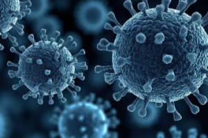virus