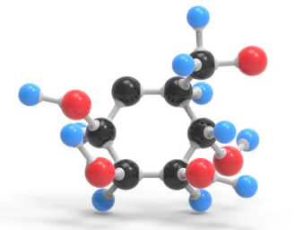 pran-is-a-polysaccharide