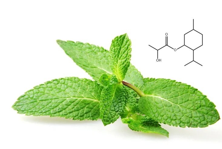 lactic-acid-peppermint