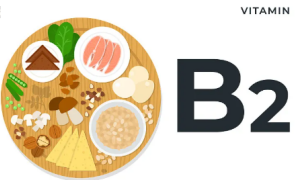 Riboflavin.png