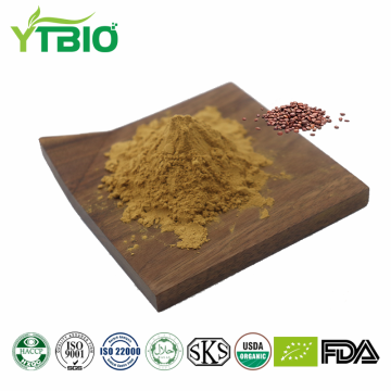 Pure Jujube Seed Extract Powder Bulk Wholesale Manufacturer
