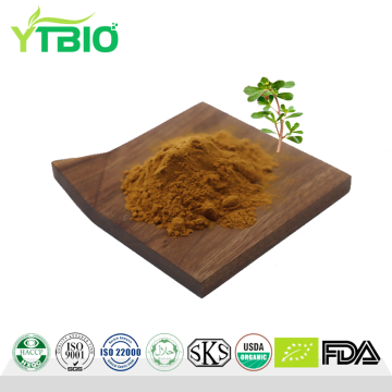 Pure Bacopa Monnieri Extract Powder Wholesale Manufacturer