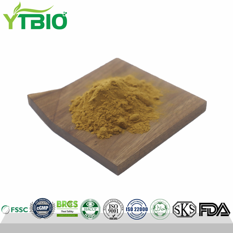 Lions Mane Extract