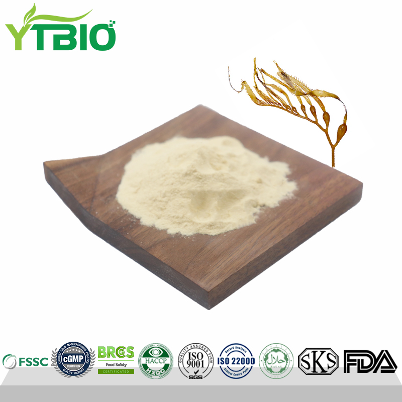 Alginate Oligosaccharide Powder Manufacturer