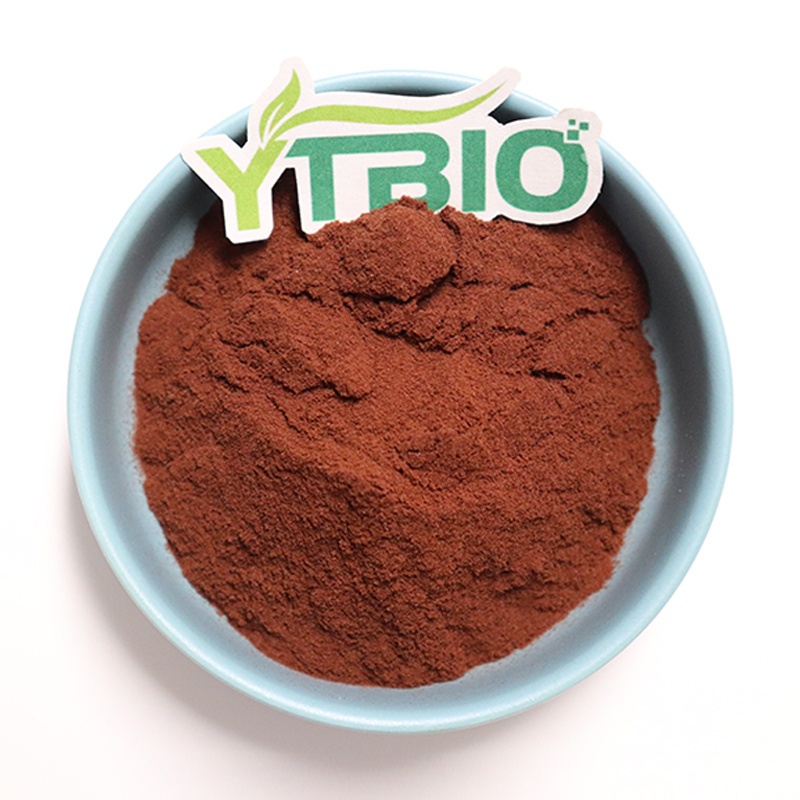 Why Is Chromium Picolinate Gaining Traction in the Nutritional Supplement Market?