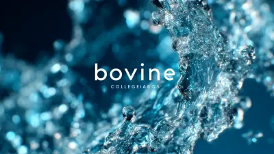 How to Leverage Best Bovine Collagen Peptides Trends for Global Sourcing in 2025