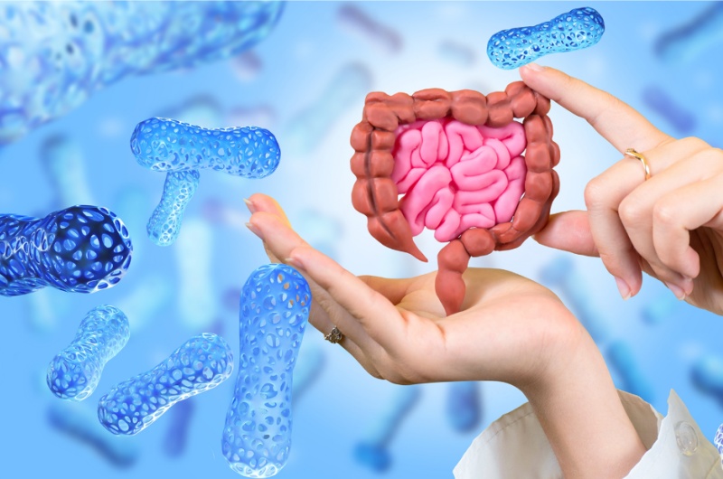 What Does Probiotics Do?