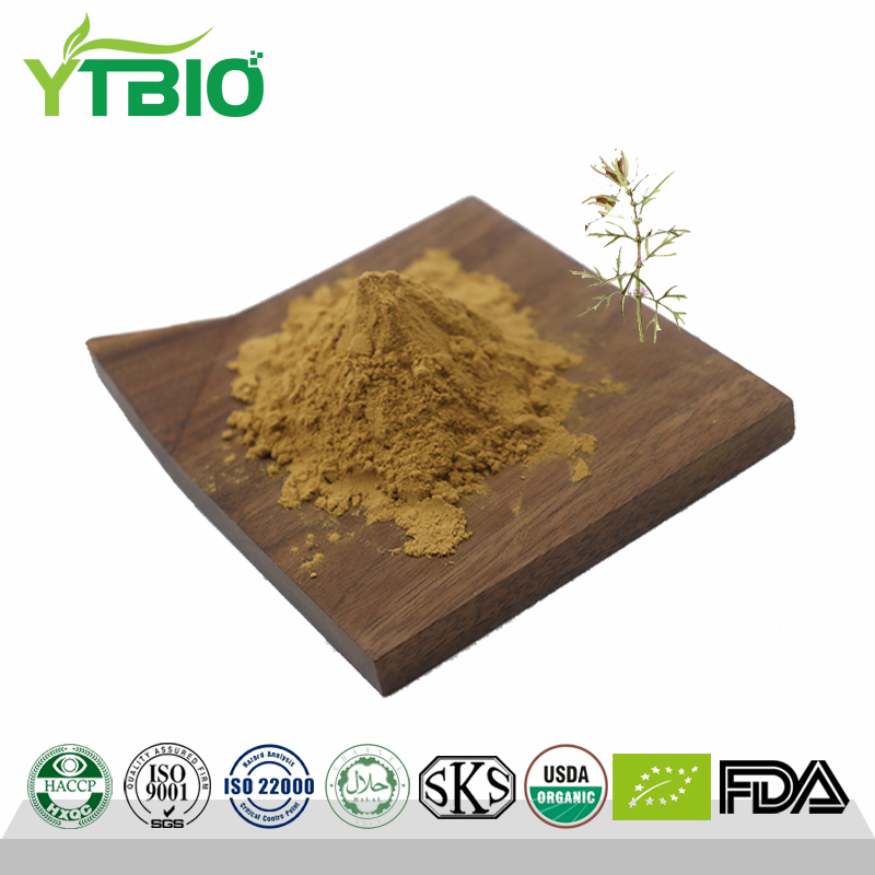 Motherwort Extract Powder.png