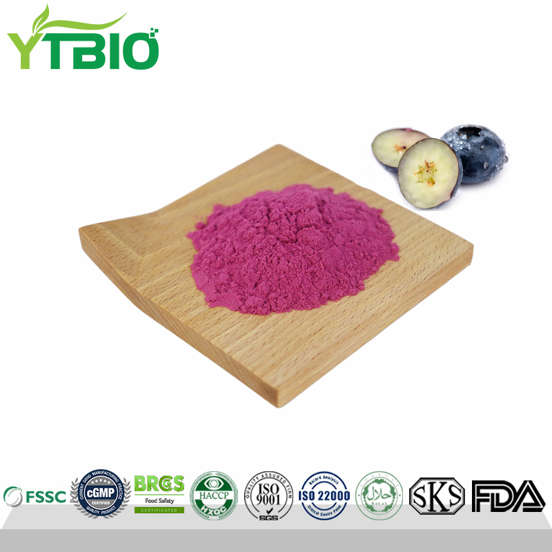 blueberry spray-dried powder.png