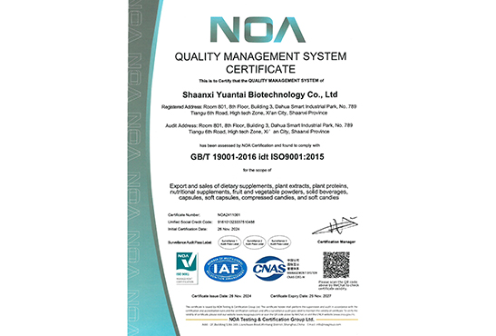 ISO 9001 Certification