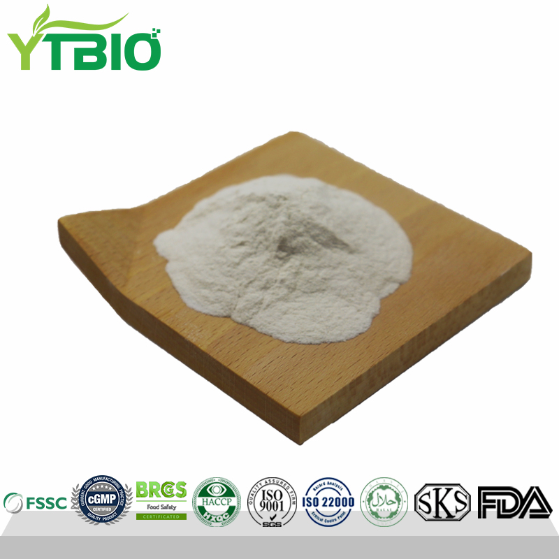 Organic-Sunflower-Seed-Protein.jpg