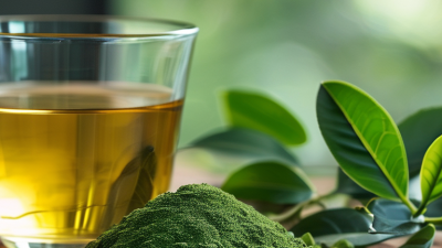10 Amazing Benefits of Green Tea Extract Polyphenol for Health?
