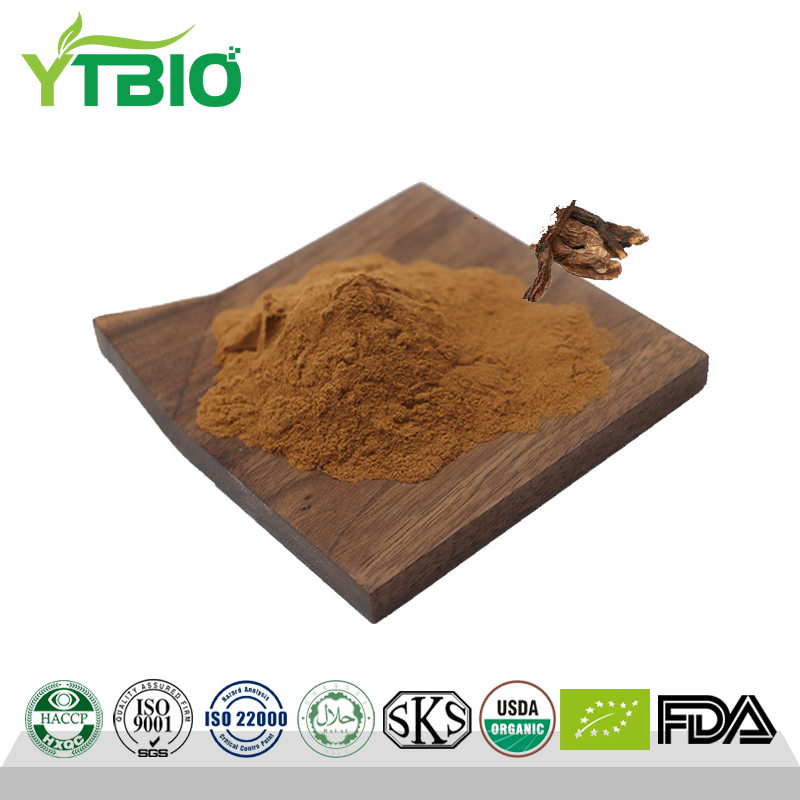 cistanche-deserticola-extract.png