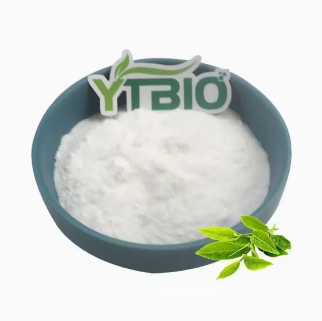 What Are Catechins? Their Diverse Health Applications Are Widely Recognized