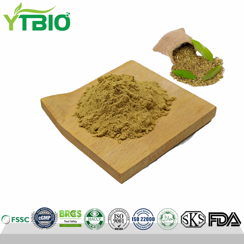 Wholesale Water-Soluble Fine Yerba Mate Powder