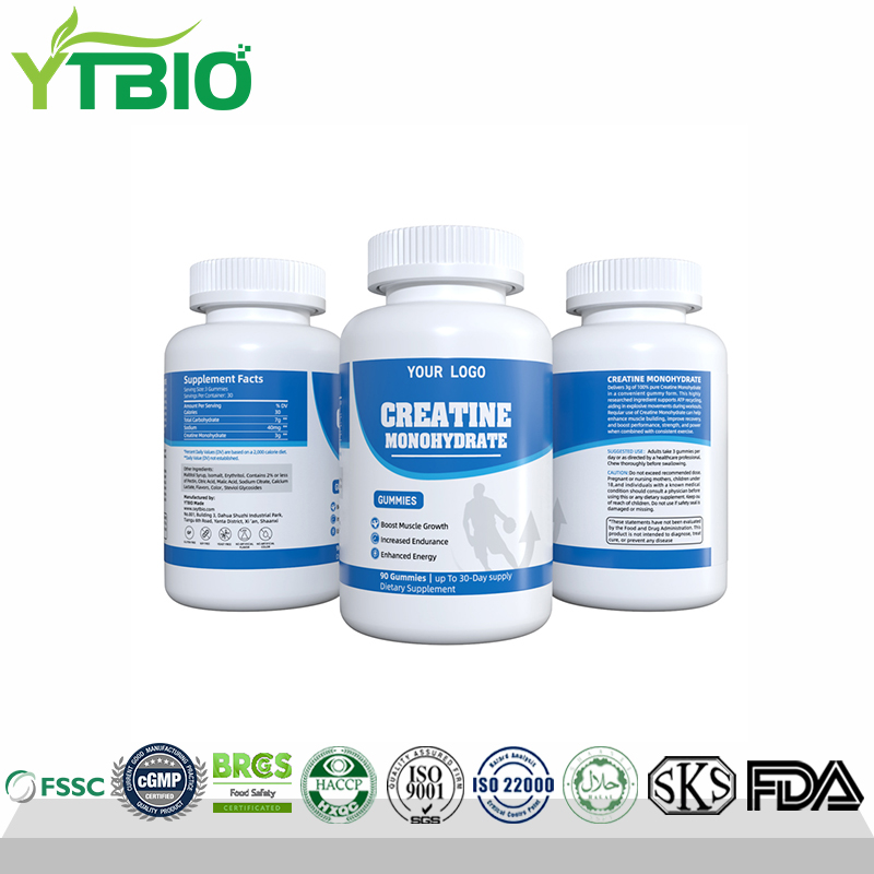Creatine Monohydrate Gummies | Direct Factory Bulk Order Support