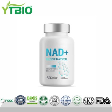 Bulk NAD+ Capsule Supplements | Professional Health Supplement Supplier