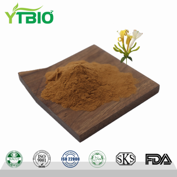 Wholesale Pure Honeysuckle Extract Powder