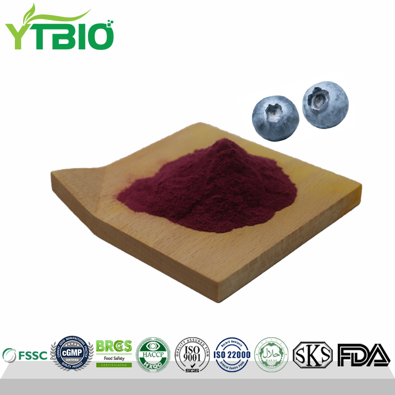 Bulk Blueberry Extract Powder 25% Anthocyanins