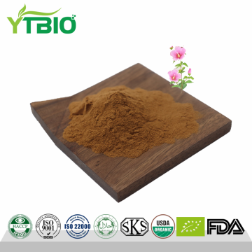 Pure Natural Hollyhock Extract Powder Bulk Supply
