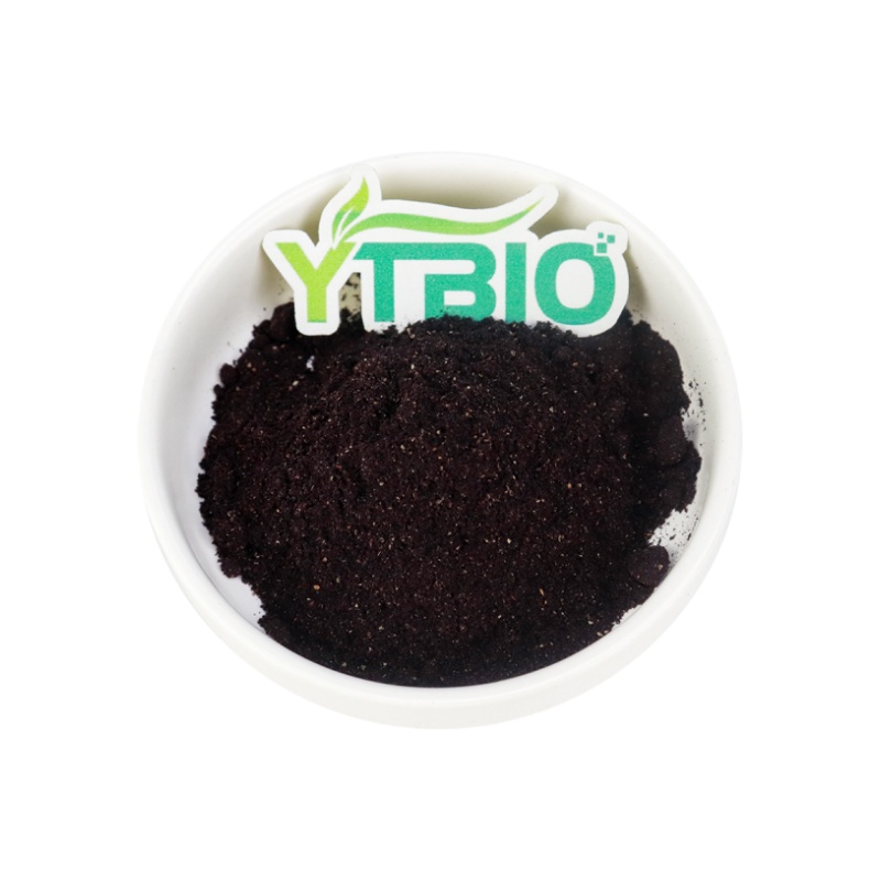 Blackcurrant Powder: An Ideal Raw Material for Functional Foods and Dietary Supplements