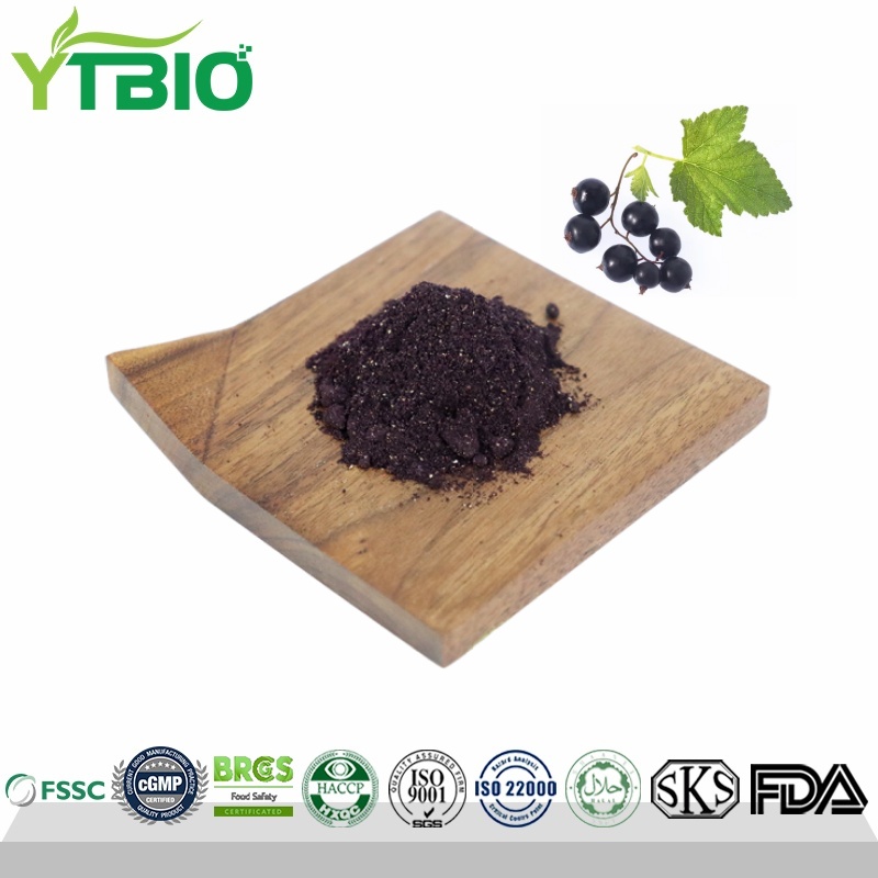 Wholesale Freeze-Dried/Spray-Dried Blackcurrant Powder for Food and Beverage