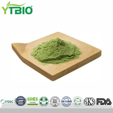 Wholesale Broccoli Powder Vegetable Powder Supplier