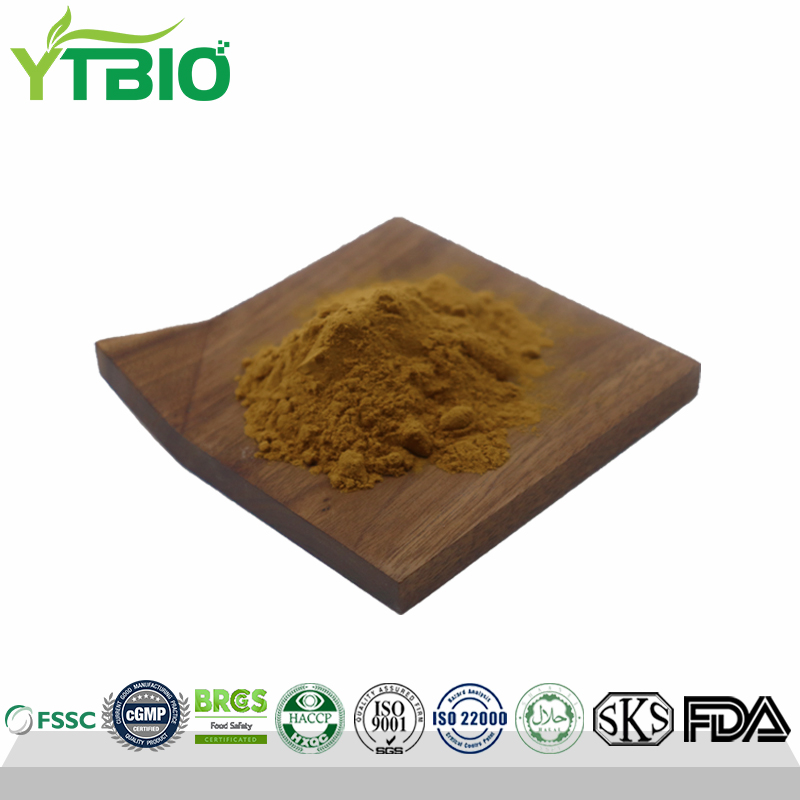 Natural 98% Tea Saponin Powder Bulk Price