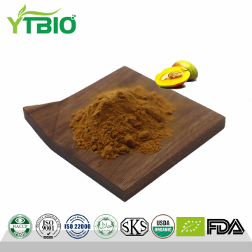 Wild Mango Extract 98% Powder | Factory Direct Wholesale Manufacturer