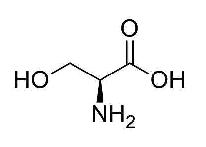 l-serine