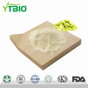 Wholesale Fava Bean Protein Powder