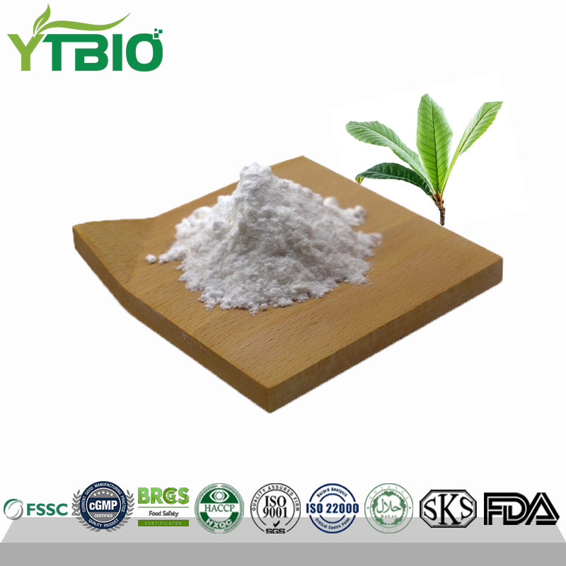 Loquat Leaf Extract Ursolic Acid 50%